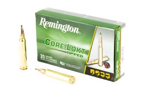 REM 300 WIN MAG 180GR CL TIP 20/200