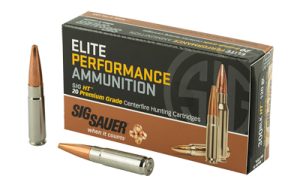 SIG AMMO 300BLK 120GR ELT HNT 20/200