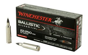 WIN BLSTC TIP 22-250 55GR 20/200