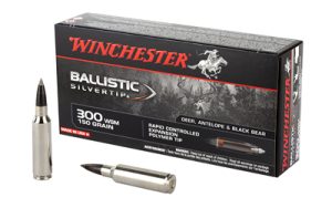 WIN BLSTC TIP 300WSM 150GR 20/200